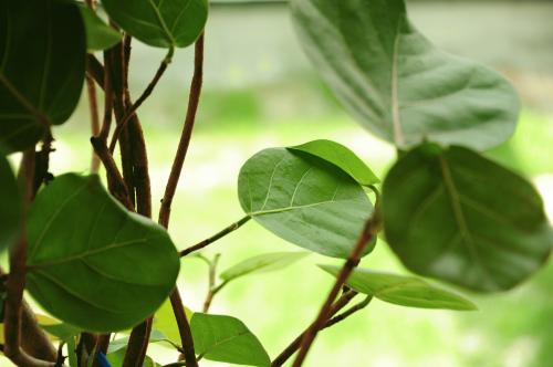 190313_blog.jpg