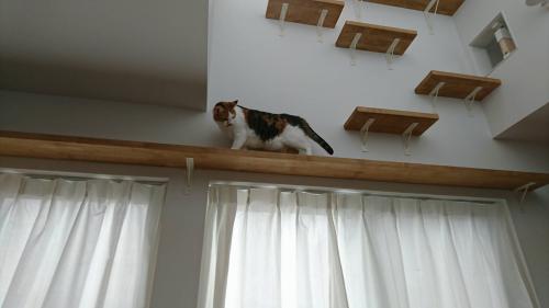 3865.jpg