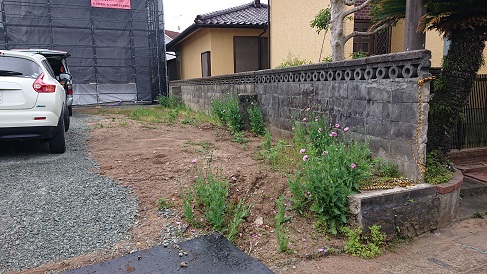 keshinohanaDSC_0015.JPG