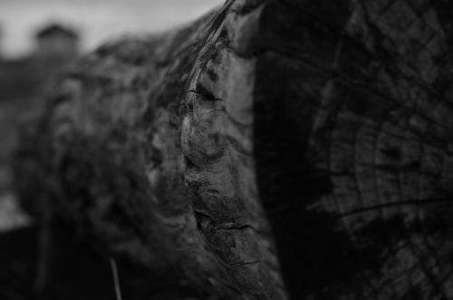 monokuroDSC_8358.JPG